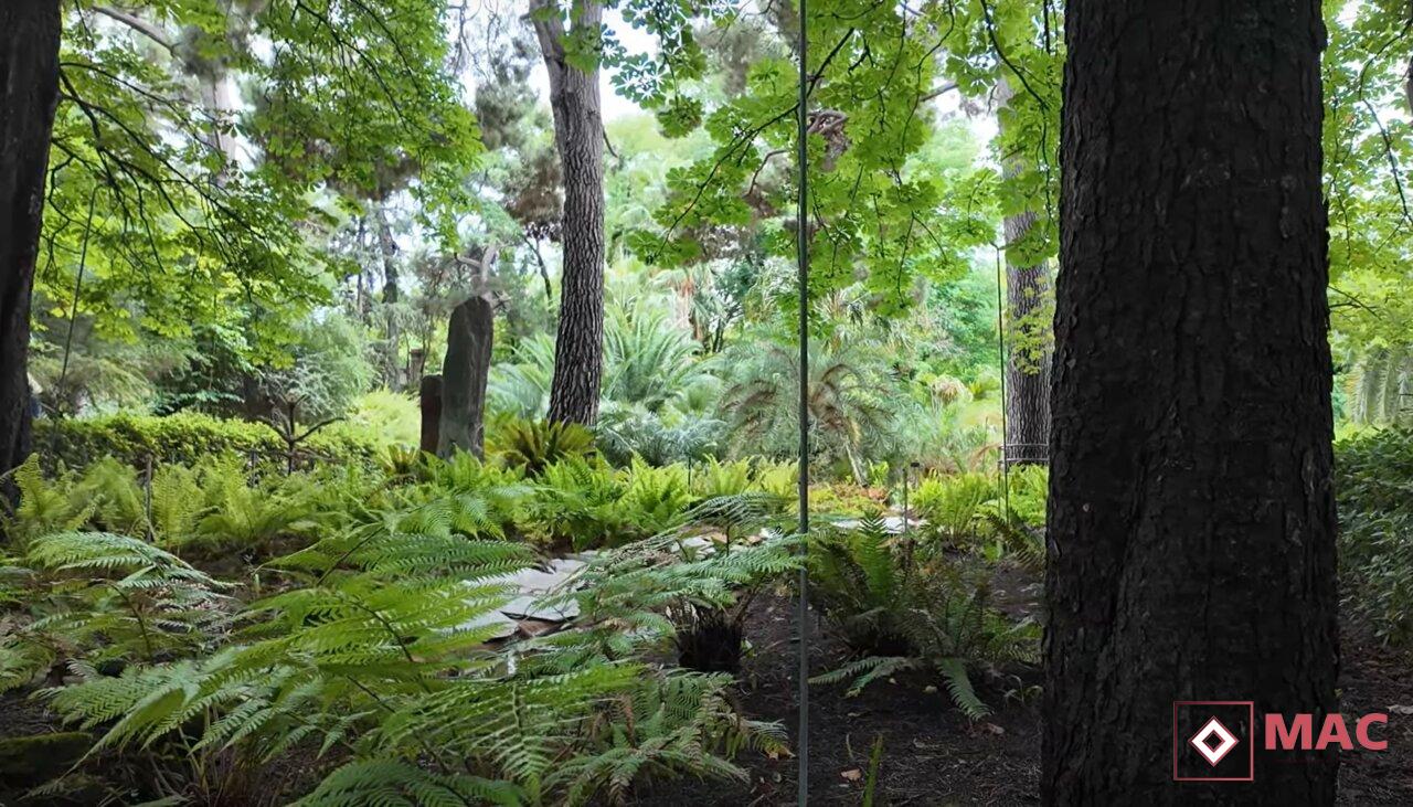 Real Jardín Botánico de Madrid