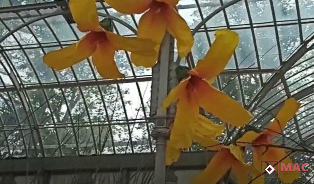 Exposición de plantas gigantes en el palacio de cristal